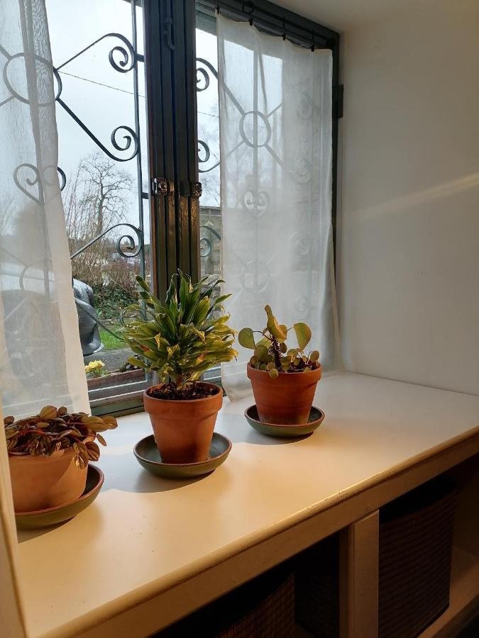 Gite La Maison La Saint-Aubin-d'Aubigne 外观 照片