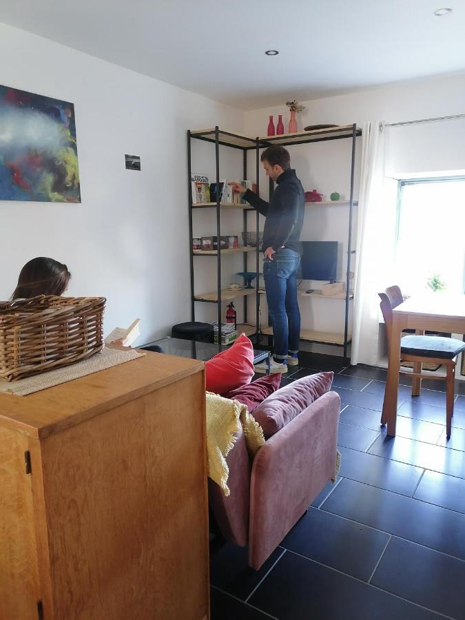 Gite La Maison La Saint-Aubin-d'Aubigne 外观 照片